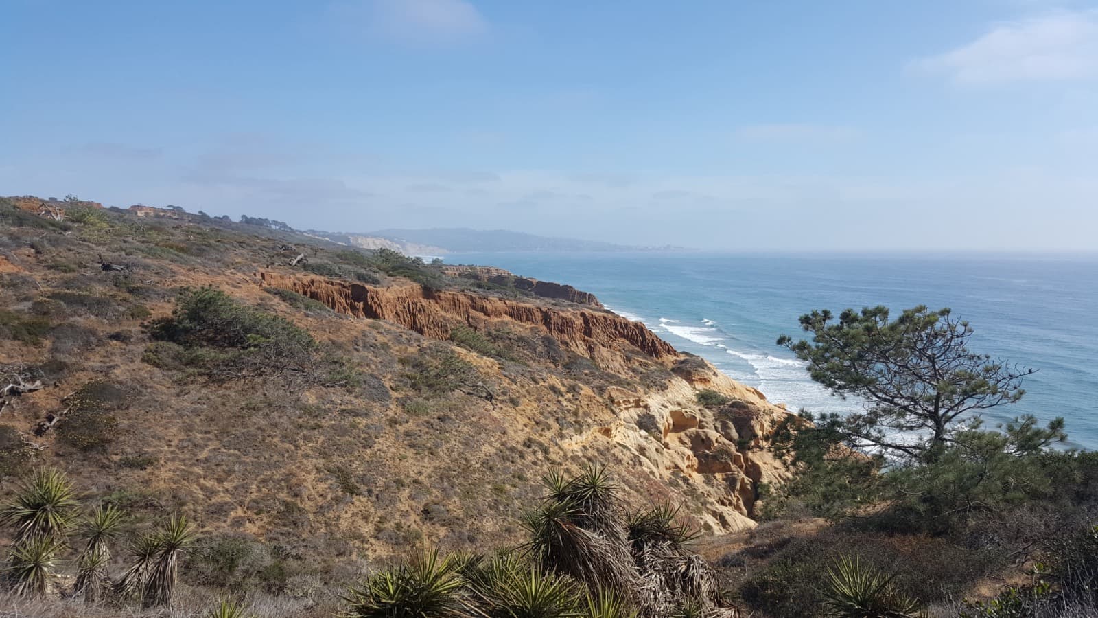 Coastal view from Torrey Pines State Reserve overlooking the San Diego shoreline