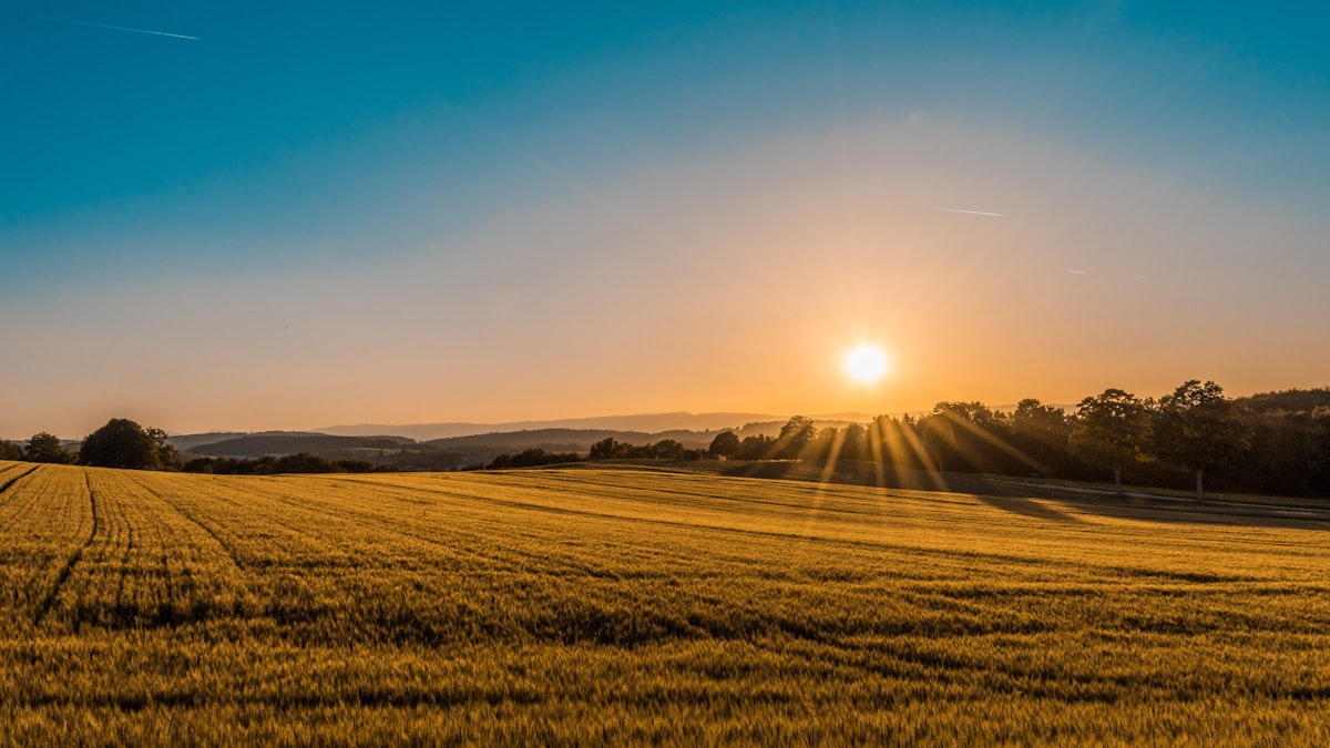 Golden hour over rolling farmland with a barn in the distance